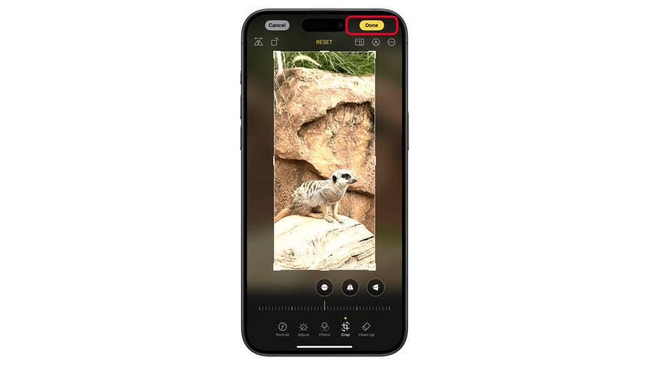 Une interface de retouche photo sur un iPhone affichant une image de suricate avec un bouton u0027Terminéu0027 en surbrillance.