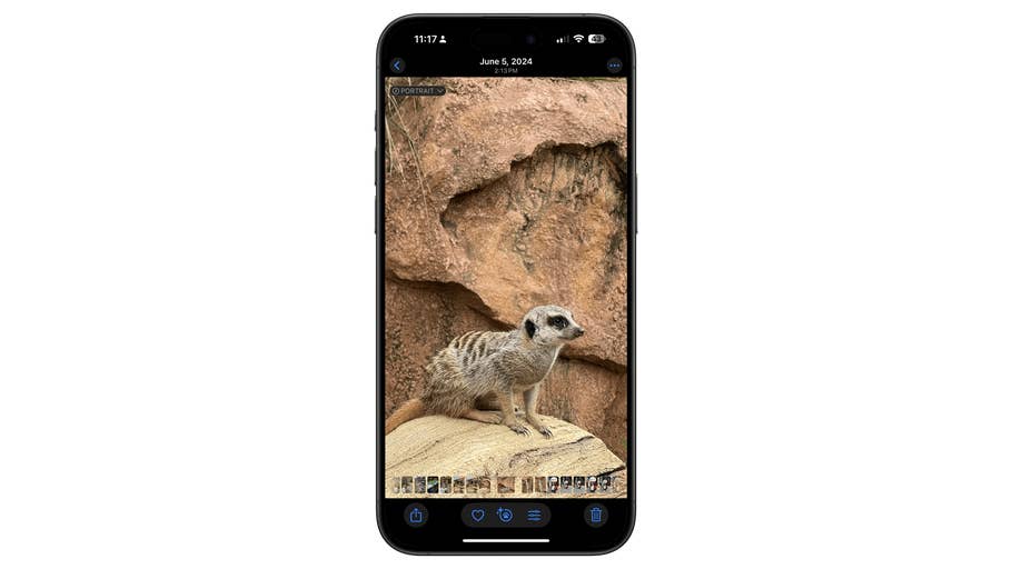 Un téléphone affichant une photo du0027un suricate sur une pierre devant un arrière-plan texturé.