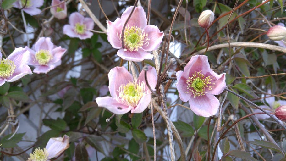 Test de lu0027appareil photo du LG G4