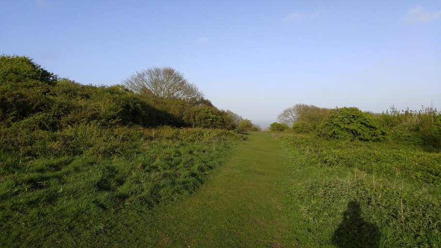 Test de lu0027appareil photo du LG G4