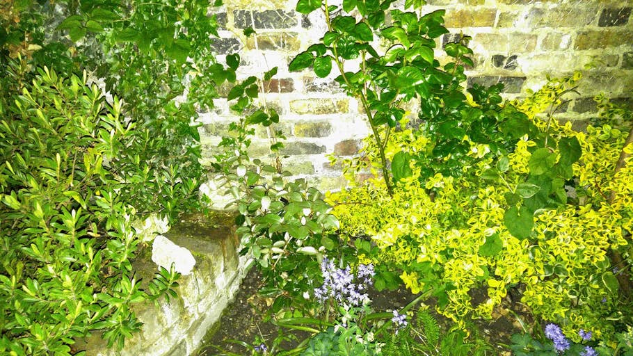 Test de lu0027appareil photo du LG G4