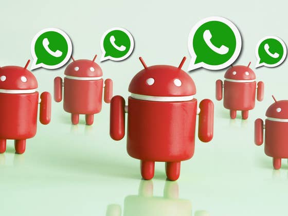 Comment savoir si un contact vous a bloqu&eacute; sur WhatsApp ?