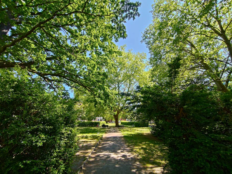 Test photo Asus ROG Phone 7 Ultimate