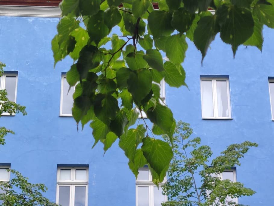 Black Shark 5 Pro test photo