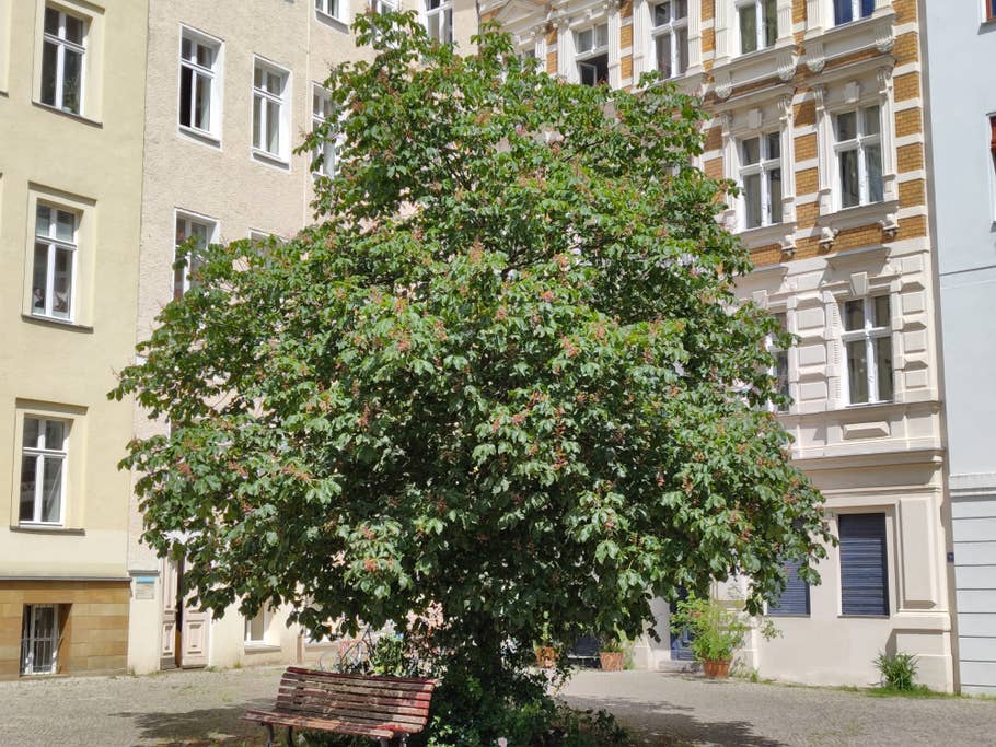 Black Shark 5 Pro test photo