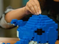 Une personne assemble un modèle de requin LEGO bleu en se concentrant sur la partie supérieure.