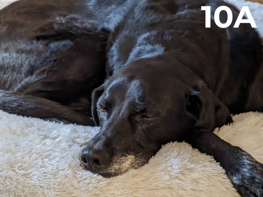 blind-test-photo-des-flagships-s1-2023