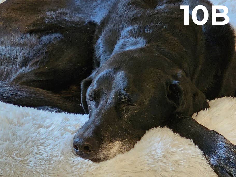 blind-test-photo-des-flagships-s1-2023