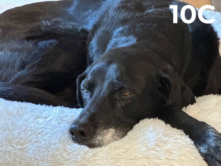 blind-test-photo-des-flagships-s1-2023