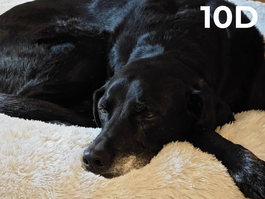 blind-test-photo-des-flagships-s1-2023