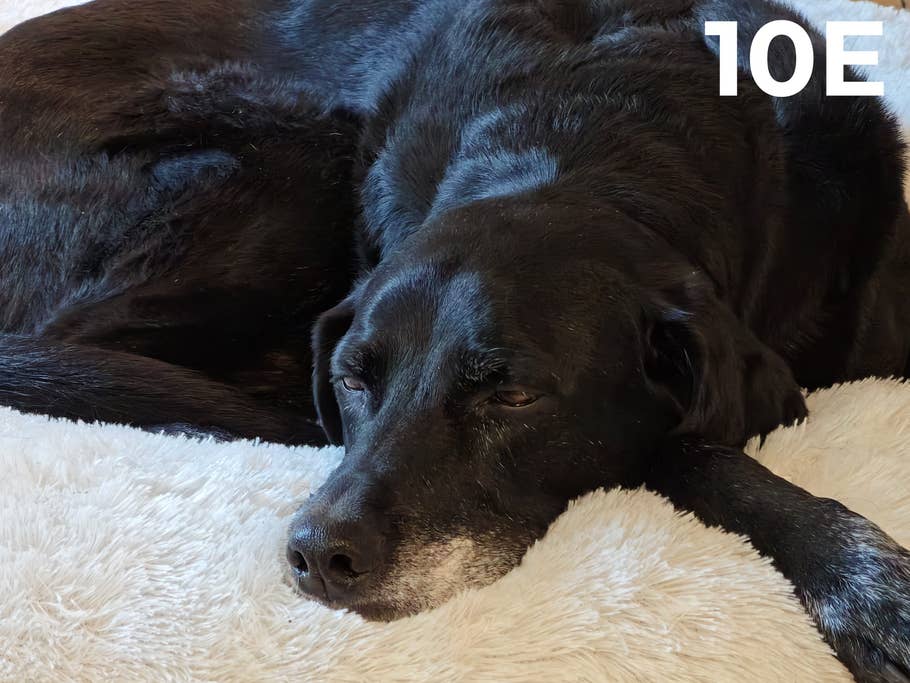 blind-test-photo-des-flagships-s1-2023