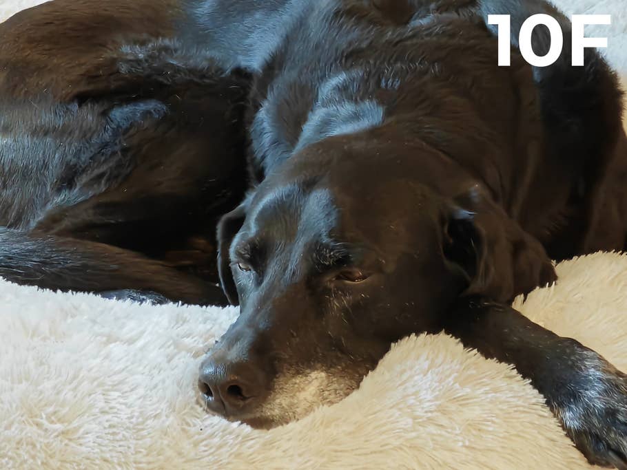 blind-test-photo-des-flagships-s1-2023