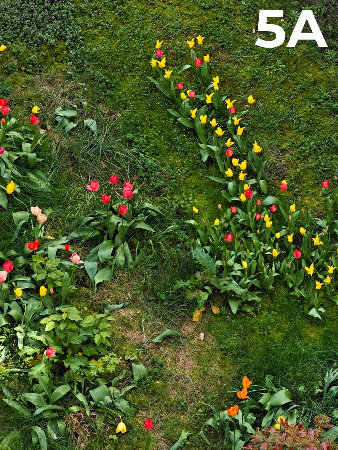 blind-test-photo-des-flagships-s1-2023