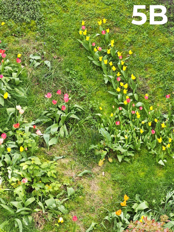 blind-test-photo-des-flagships-s1-2023