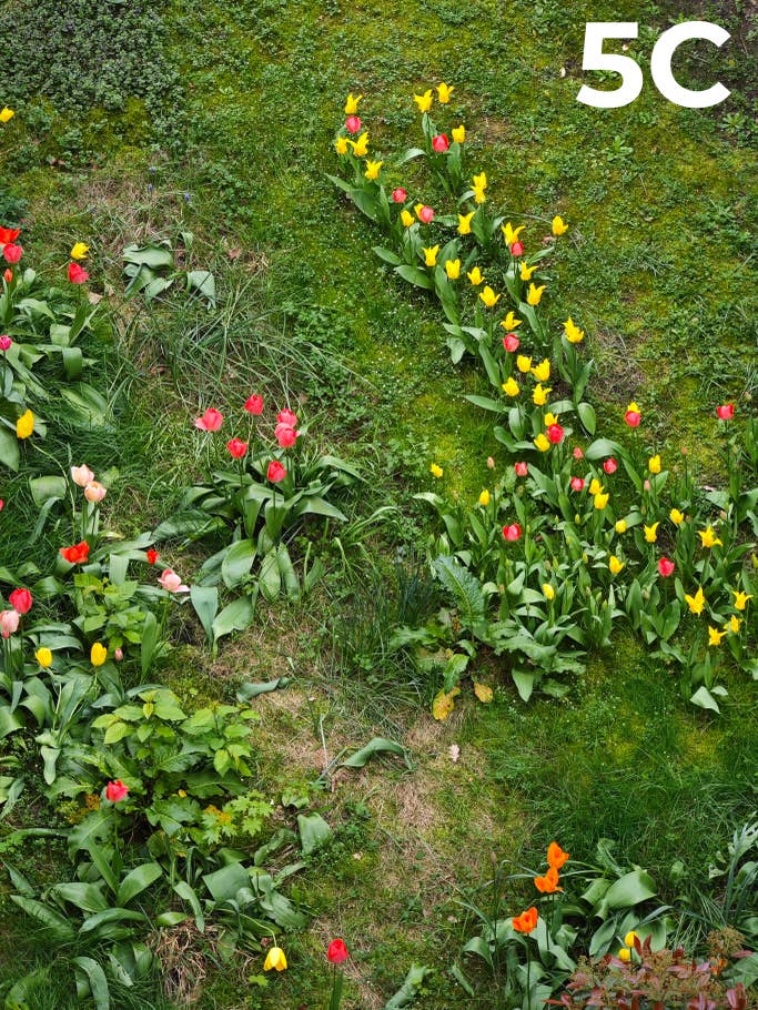 blind-test-photo-des-flagships-s1-2023