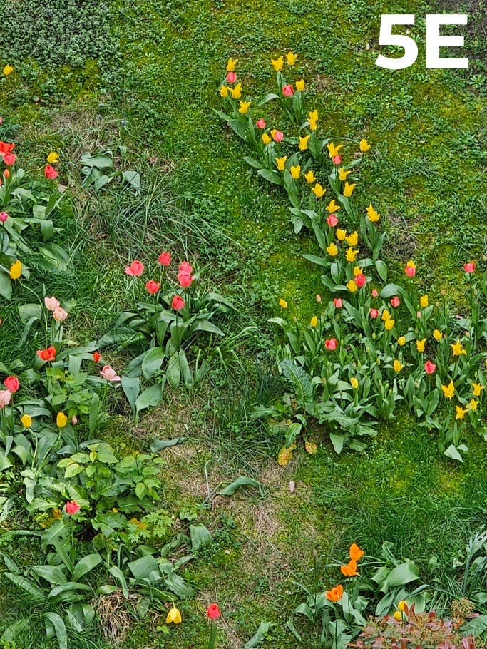 blind-test-photo-des-flagships-s1-2023