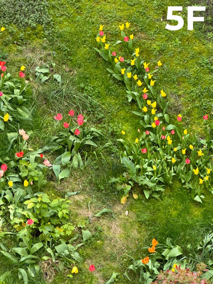 blind-test-photo-des-flagships-s1-2023