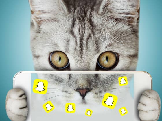Snapchat ne fonctionne pas : que faire ?