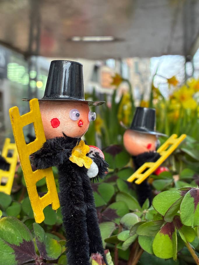 Gros plan avec lu0027Apple iPhone 16e - Caméra principale 1x