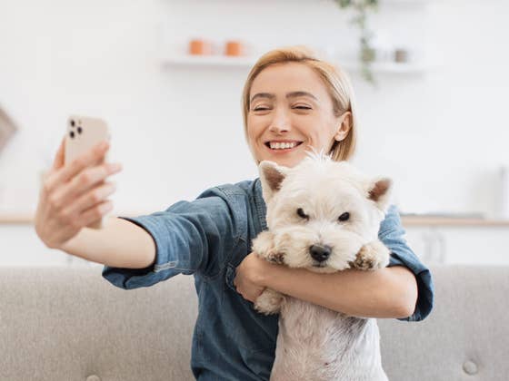 Cette application gratuite est indispensable pour les propriétaires de chiens