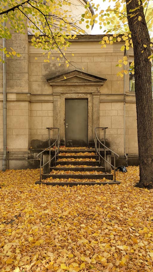 Google Pixel 7 Pro Test photo