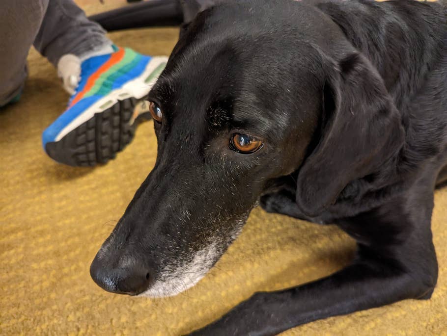 Google Pixel 7 Pro Test photo