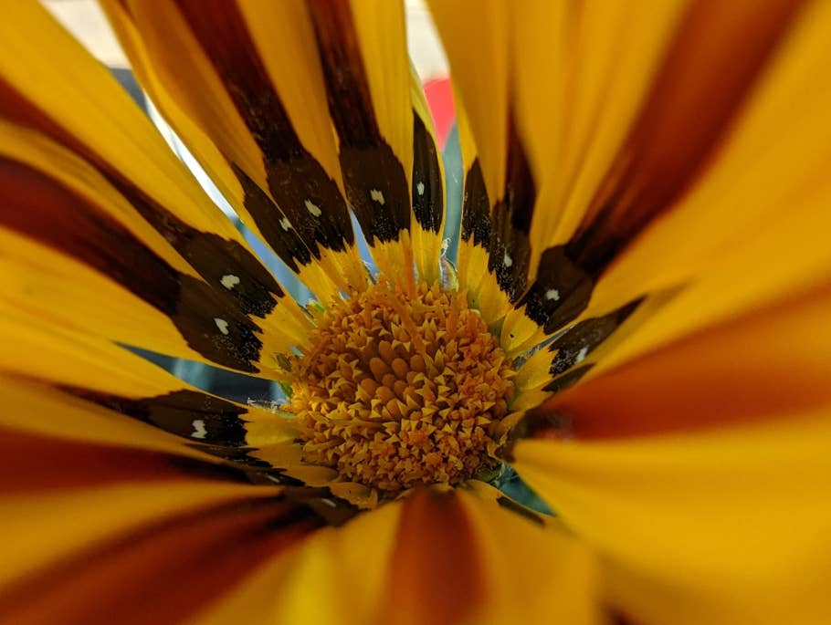 Google Pixel 7 Pro Test photo