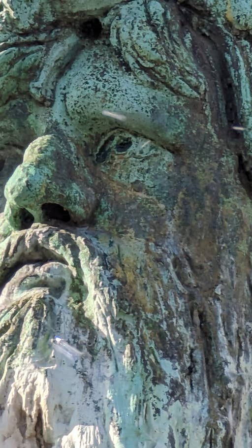 Google Pixel 7 Pro Test photo