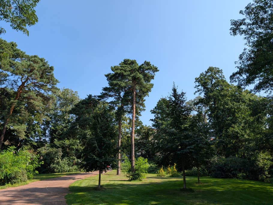 Photo de jour prise avec le Google Pixel 9 Pro XL