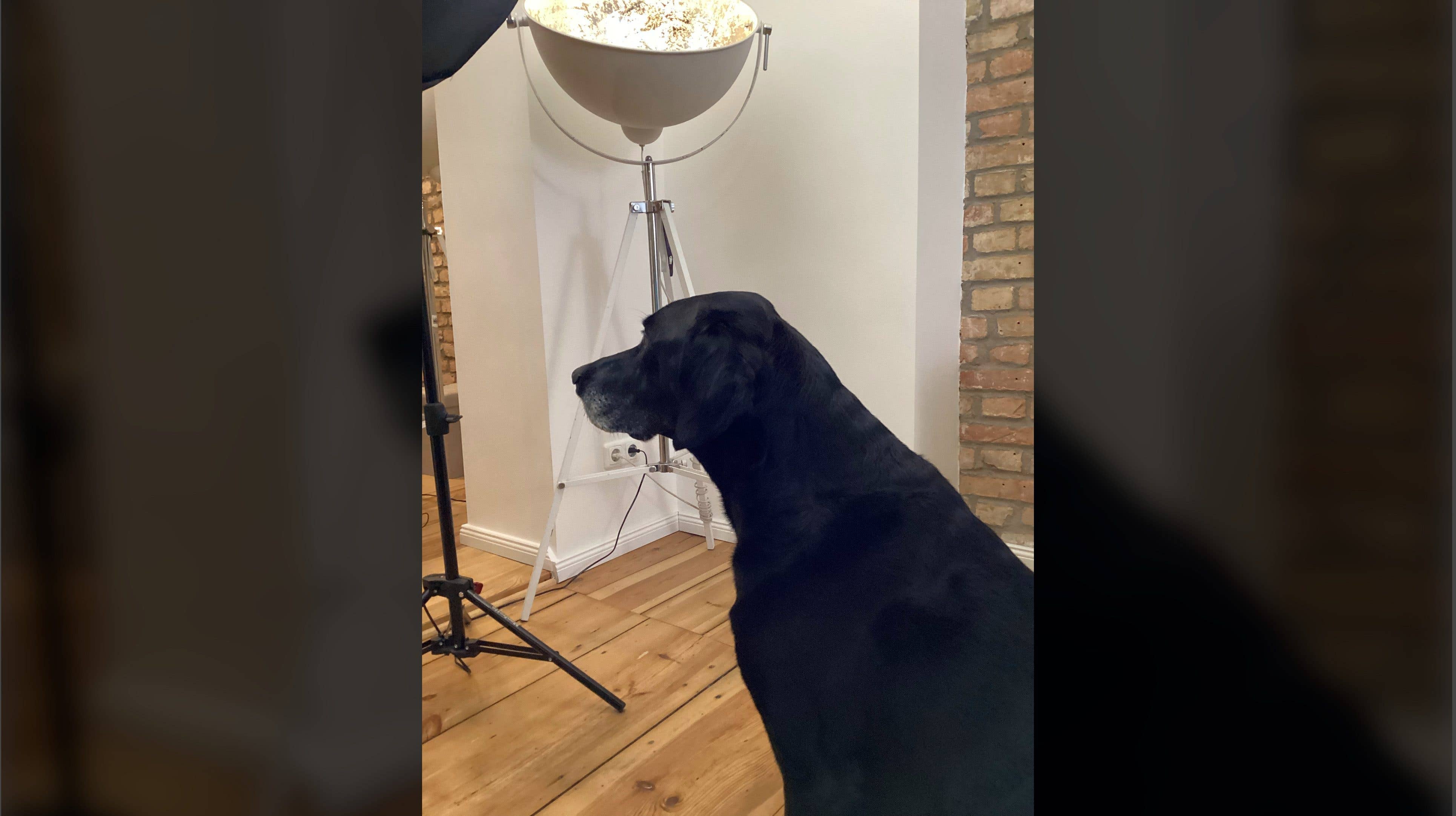 iPad 2021 camera sample nextpit