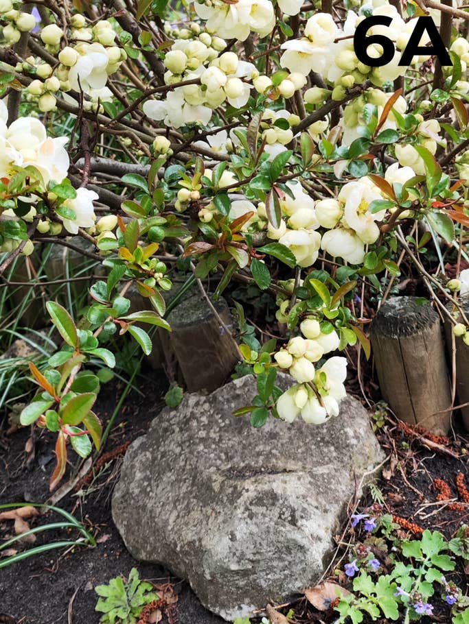 blind-test-photo-s1-2022