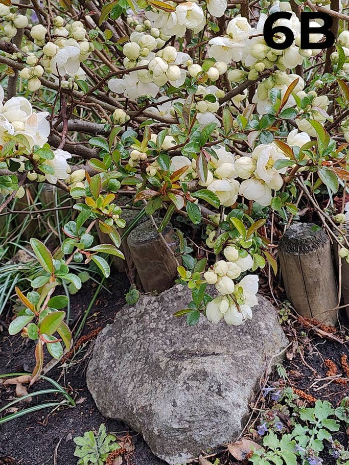 blind-test-photo-s1-2022