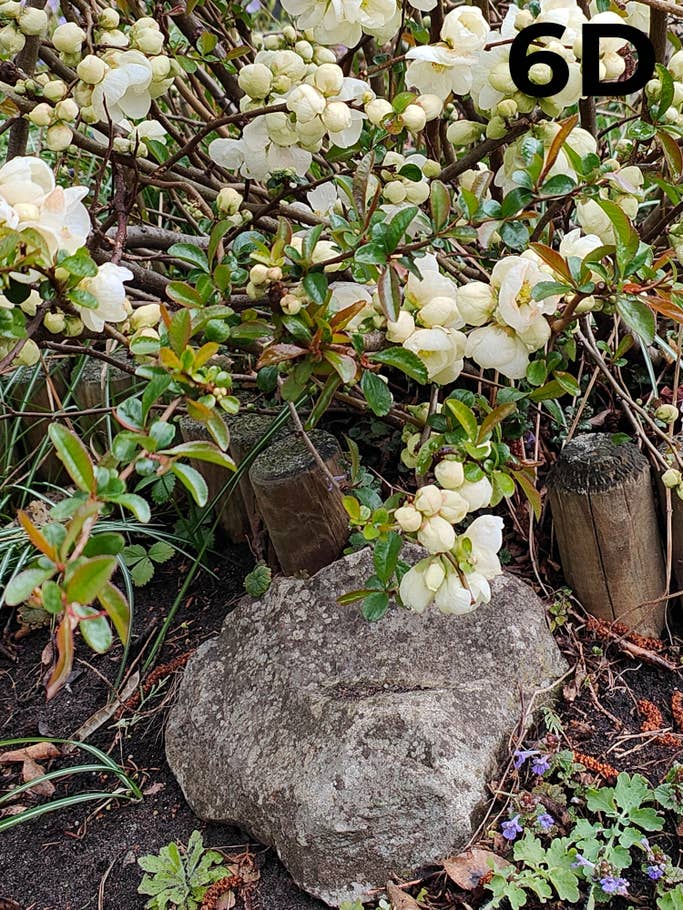 blind-test-photo-s1-2022