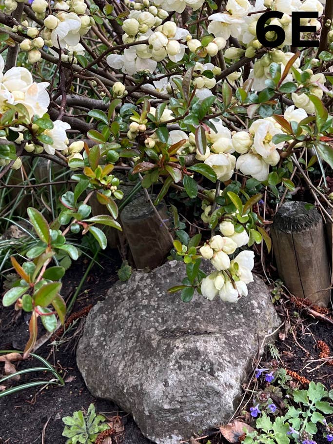 blind-test-photo-s1-2022