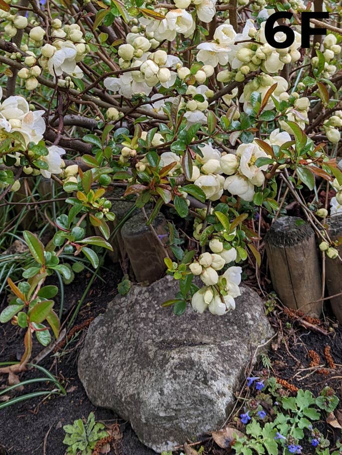 blind-test-photo-s1-2022