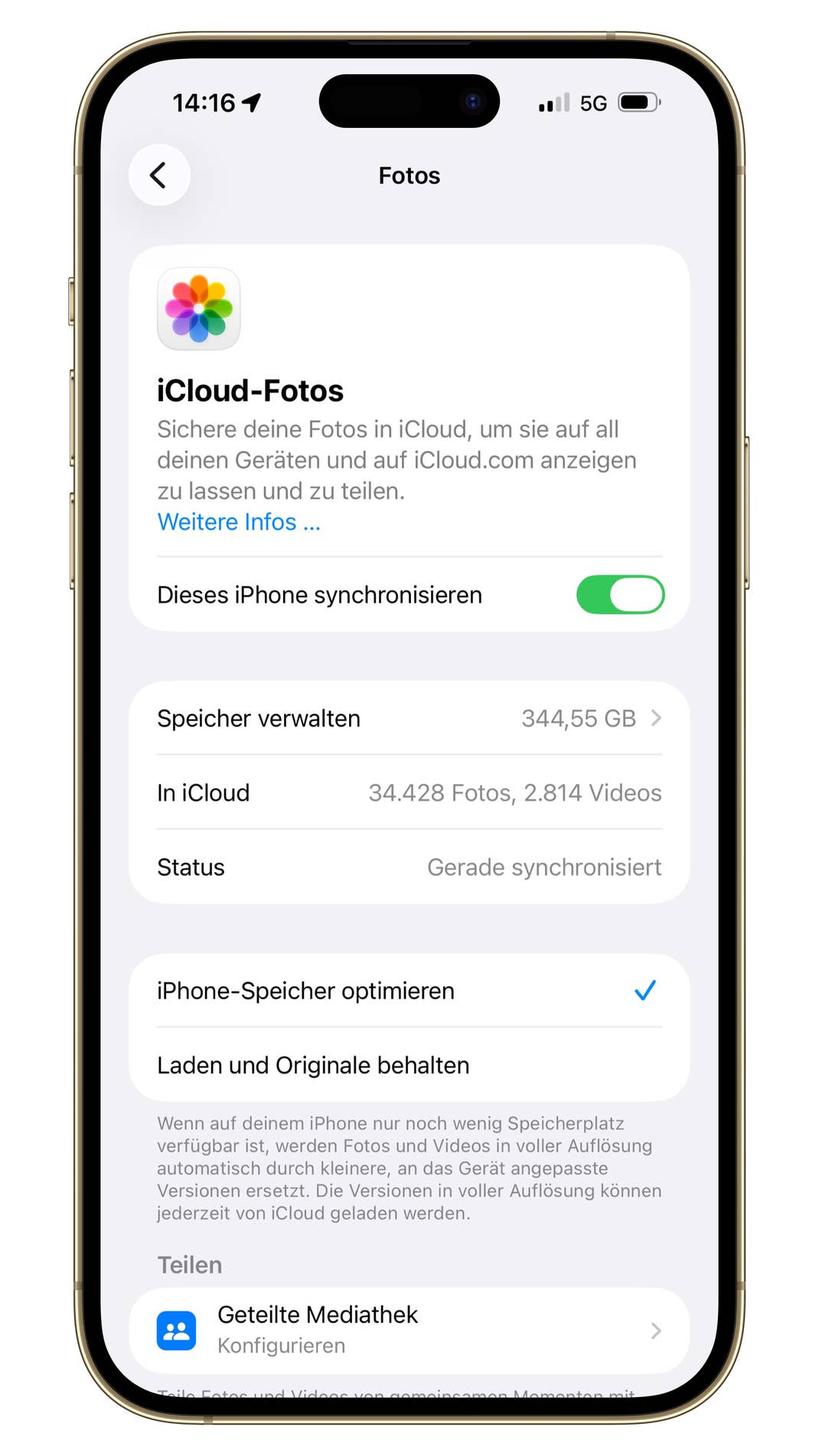 Ein Screenshot aus den iCloud-Einstellungen