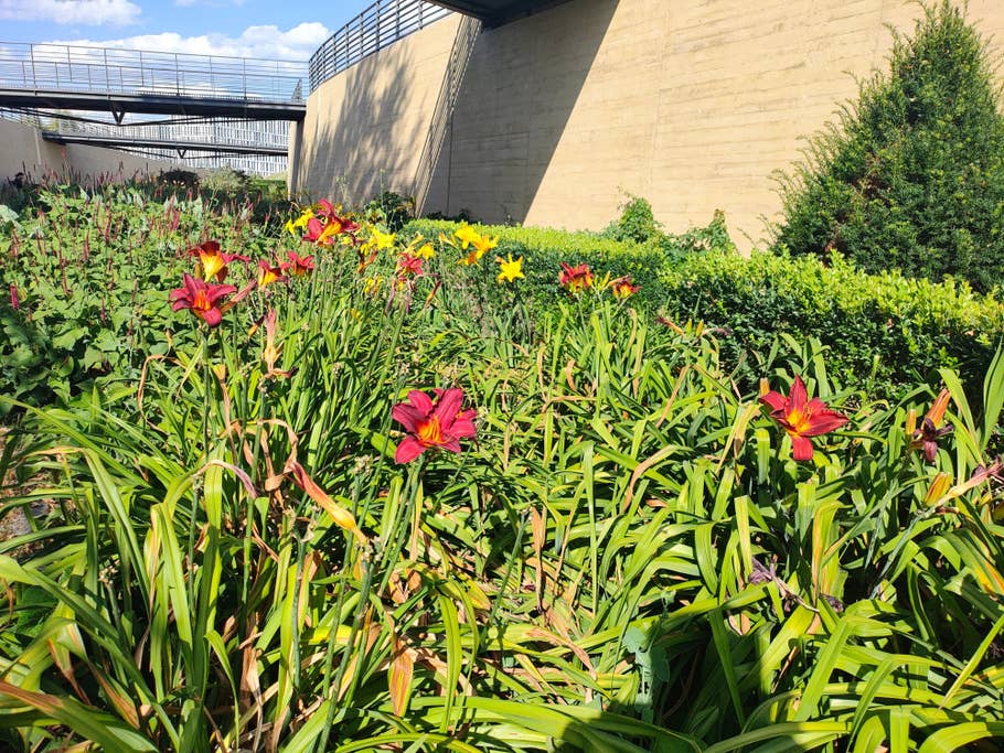 motorola-razr-40-test-photo