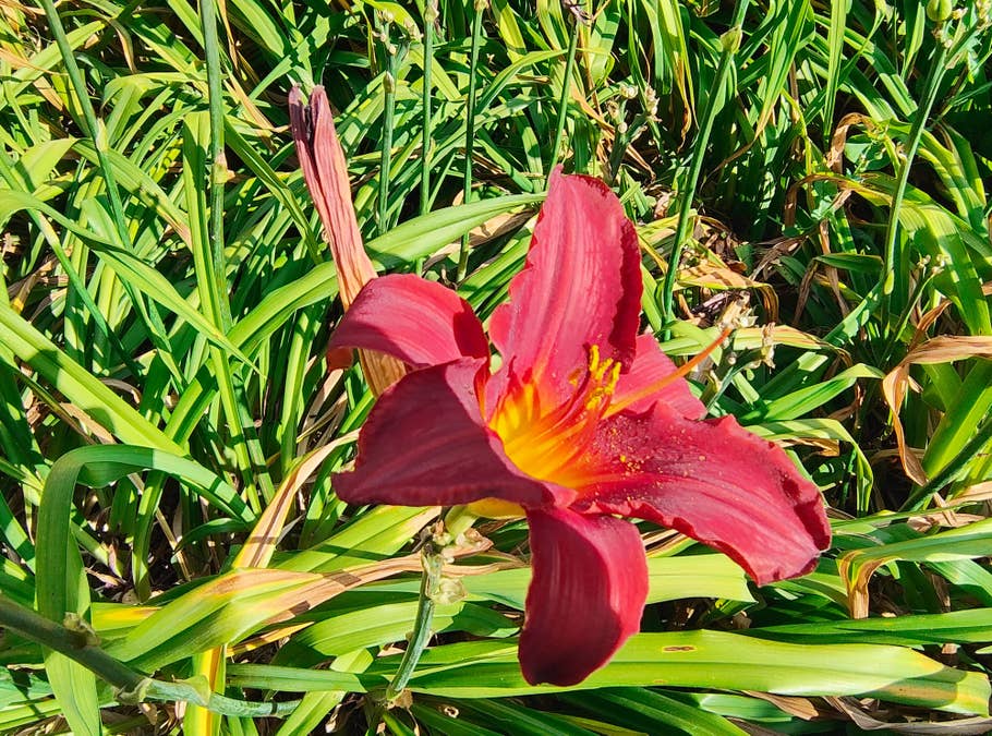 motorola-razr-40-test-photo