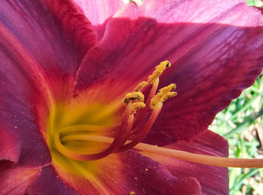 motorola-razr-40-test-photo