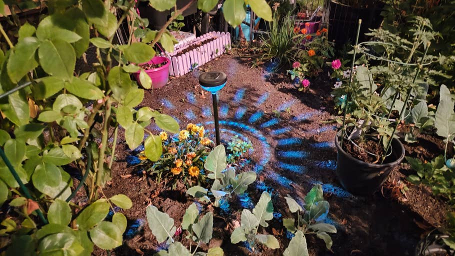 motorola-razr-40-test-photo