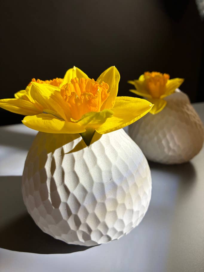 Prise de vue en intérieur avec lu0027Apple iPhone 16e - caméra principale 1x