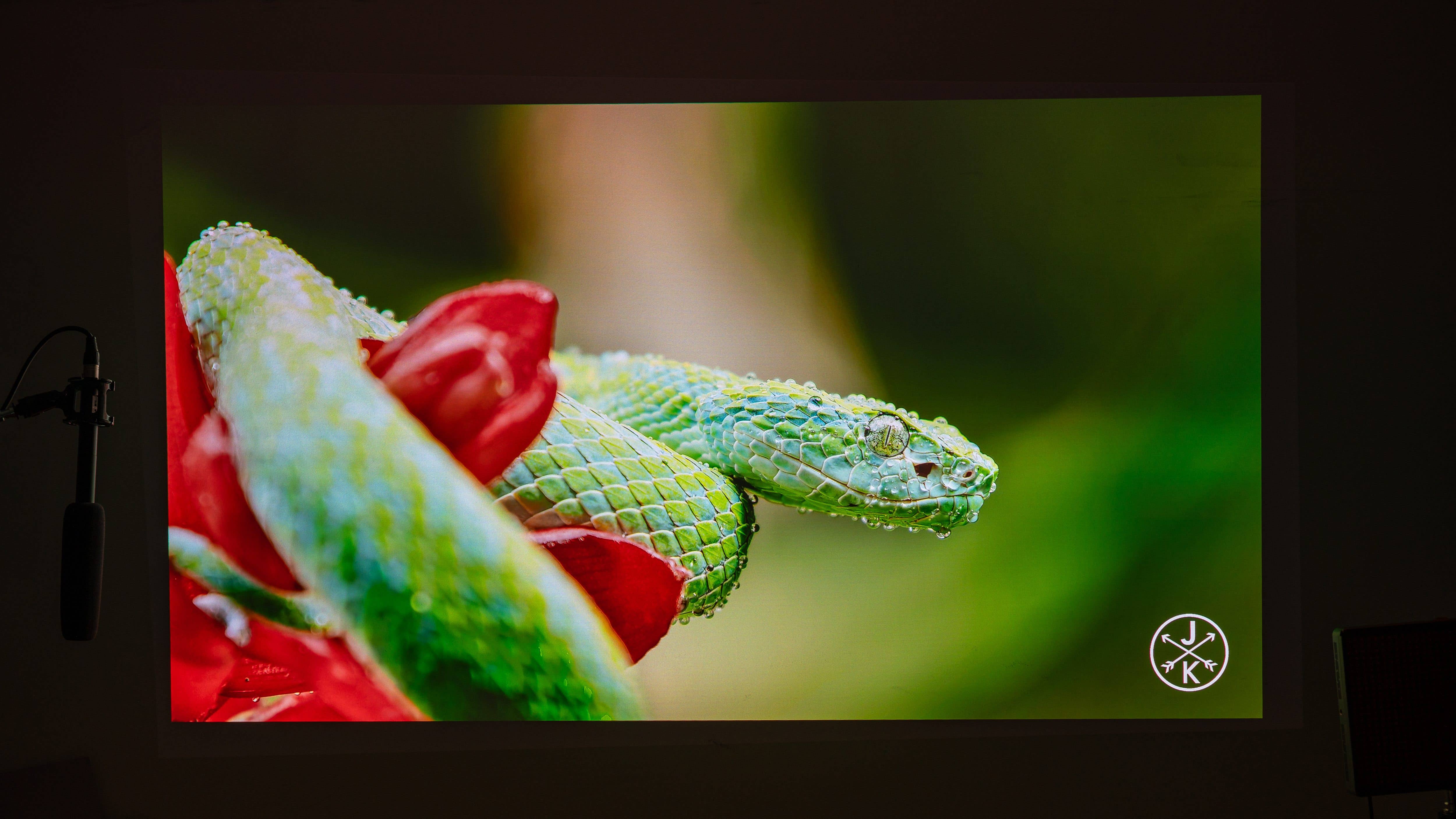 La qualité d'image du JMGO N1 Ultra