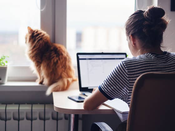 Télétravail: Des bonus ou des avantages pourraient-ils vous inciter à revenir au bureau?