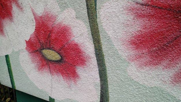 Test nouveau Moto X 2014 - Appareil photo