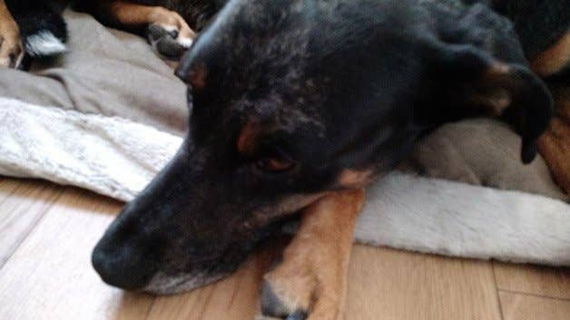 Test nouveau Moto X 2014 - Appareil photo