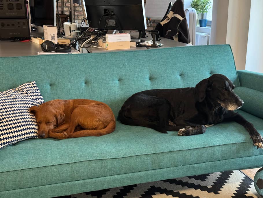 apple-iphone-15-pro-test-photo