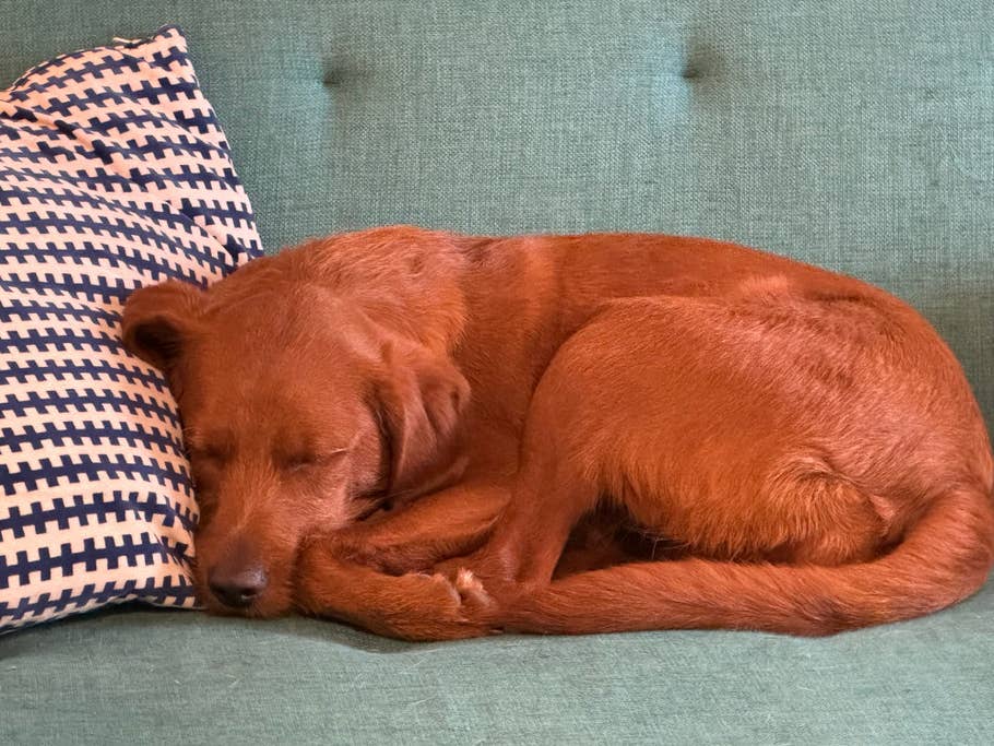 apple-iphone-15-pro-test-photo