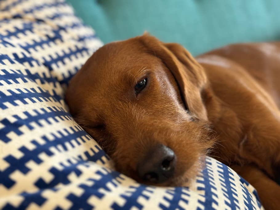 apple-iphone-15-pro-test-photo