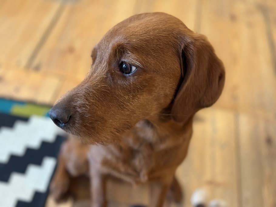 apple-iphone-15-pro-test-photo