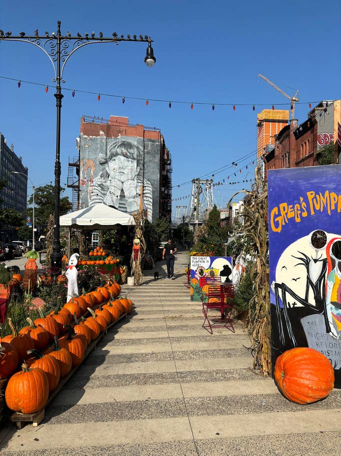 apple-iphone-15-test-photo